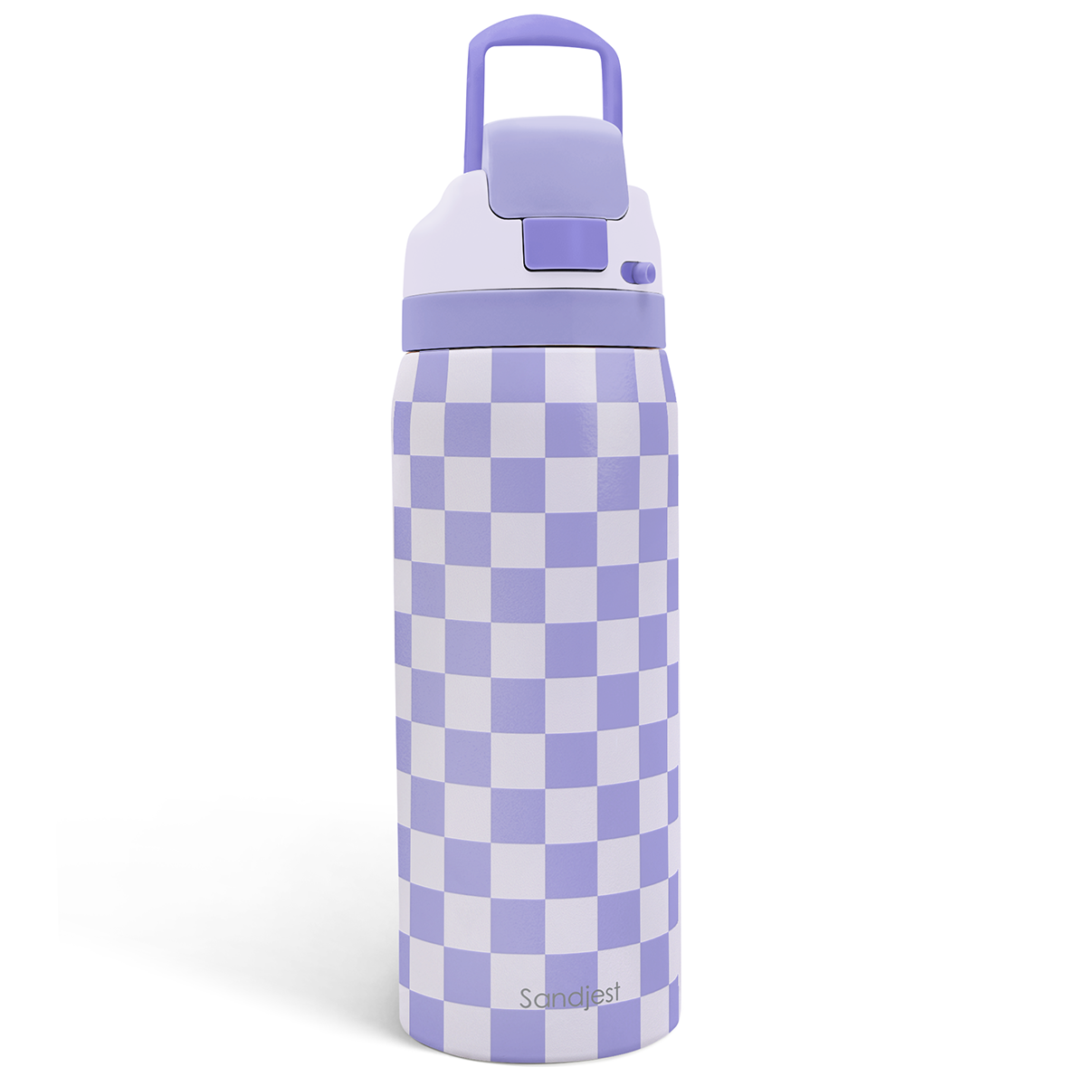 Purple Checker VividPop | Push-button Lid Water Bottle 32oz