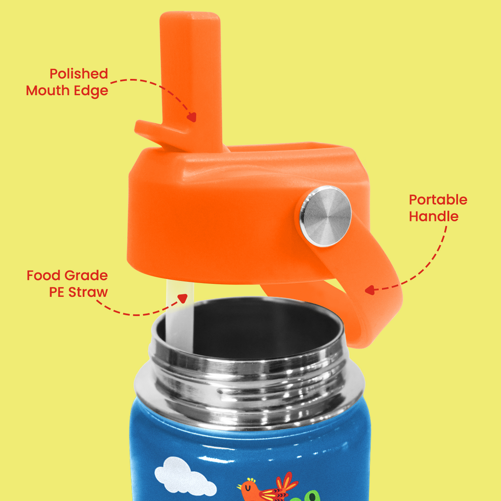 Blue Crocodile SipKid | Kids Stainless Steel Straw Lid Water Bottle 12oz